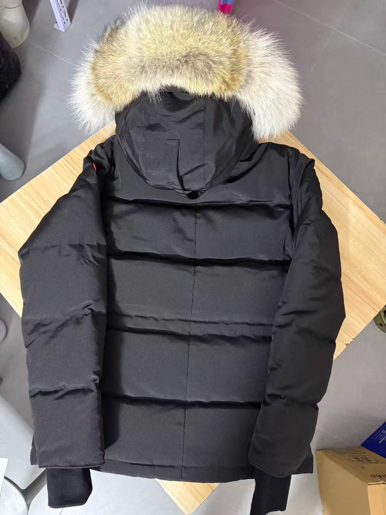 Winter Parka CG